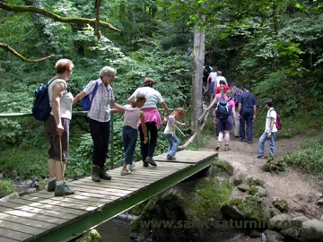 La passerelle sur la Monne
