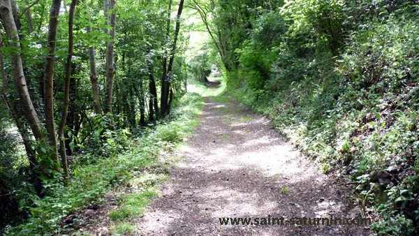 Le chemin de la Freydière descendant vers les lavoirs