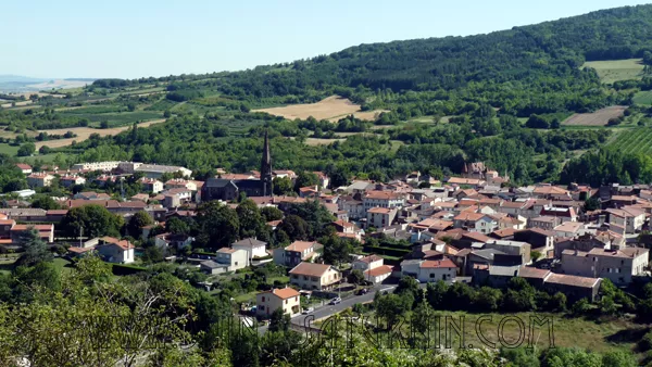 vue_generale_chateau_st_amant_tallende.webp