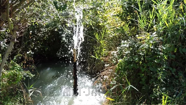 Le geyser en éruption, toutes les vingt minutes environ