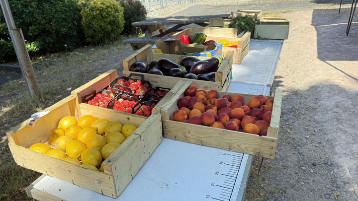 Marché de producteurs – Saint-Saturnin