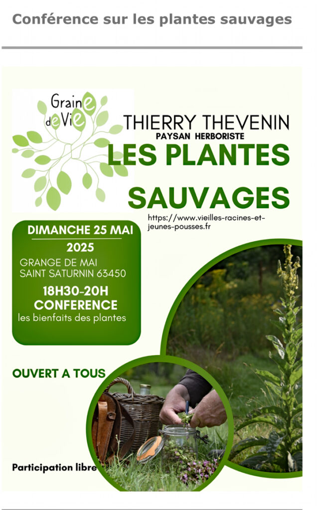CONFERENCE SUR LES PLANTES SAUVAGE PAR THIERRY THEVENIN