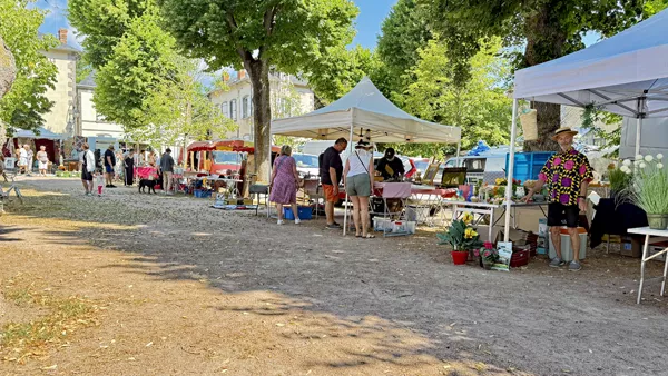Objets anciens sur un étal de la brocante