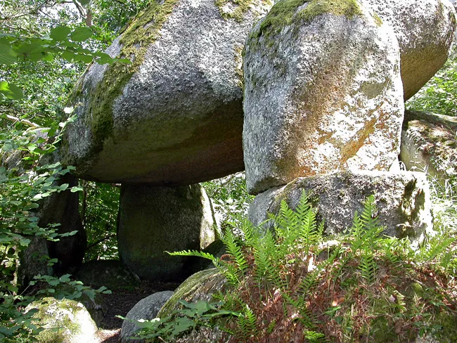 Chaos granitique boisé près de Chanonat