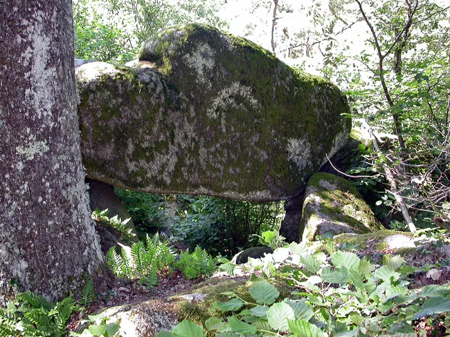 Rochers du Chaos de Flore en forêt