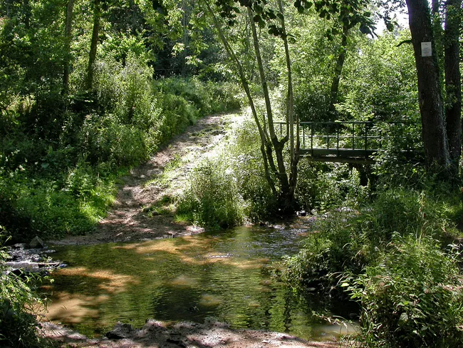 Ruisseau de l'Auzon au Chaos de Flore
