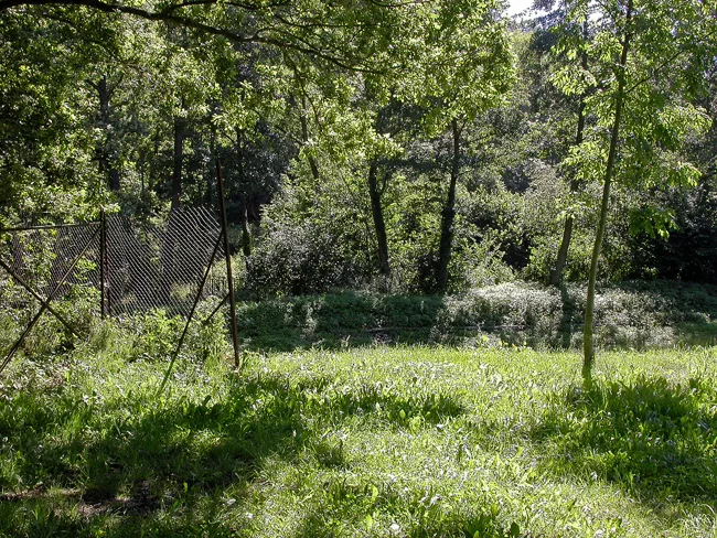 Site naturel du Chaos de Flore près de Chanonat