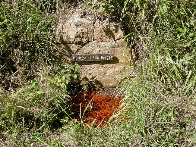 La source ferrugineuse de Font Rouge à Chanonat