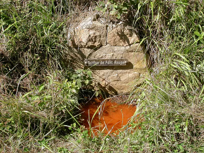 Abords de la source de Font Rouge, Chanonat