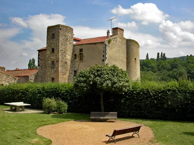 Allée arborée du domaine de la Bâtisse