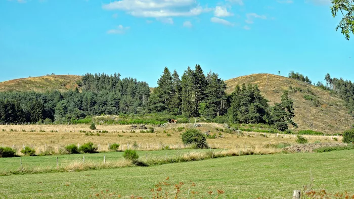 Le sommet du puy de la Combegrasse