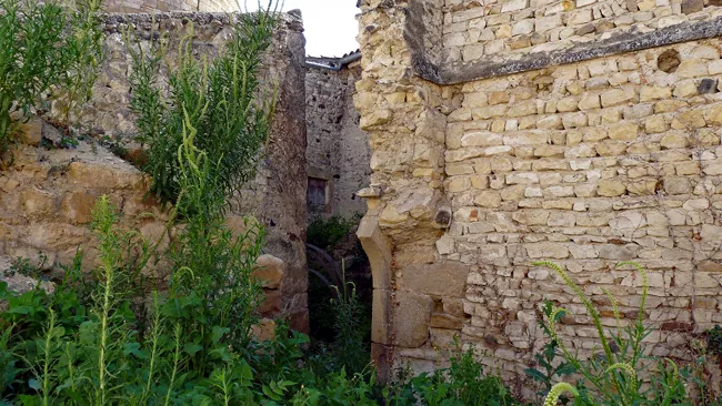 Vestiges de l'enceinte fortifiée de La Sauvetat