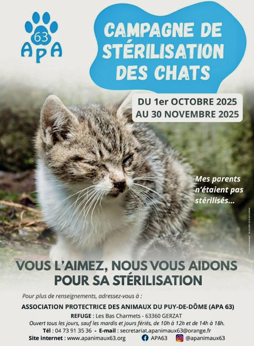  campagne de stérilisation des chats