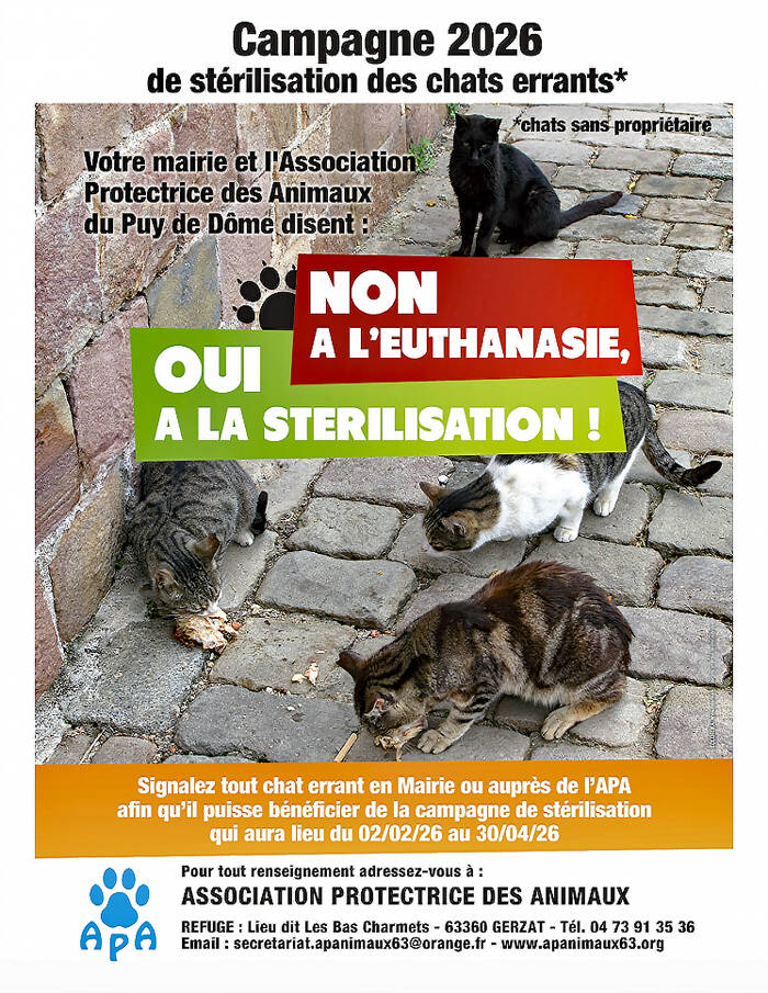 CAMPAGNE DE STERILISATION DES CHATS ERRANTS 63